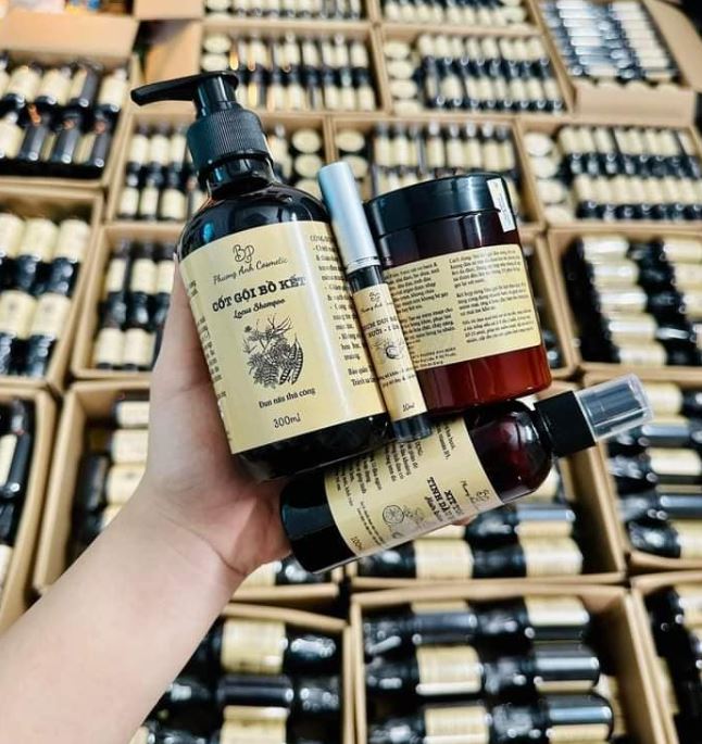 Combo Cốt Gội Bồ Kết - Ủ Xả Bưởi Dừa Phương Anh - Sali Beauty