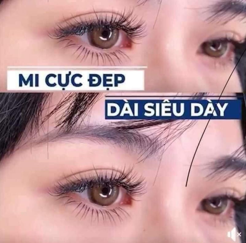 Nuôi dưỡng và bảo vệ mi & mày chắc khỏe