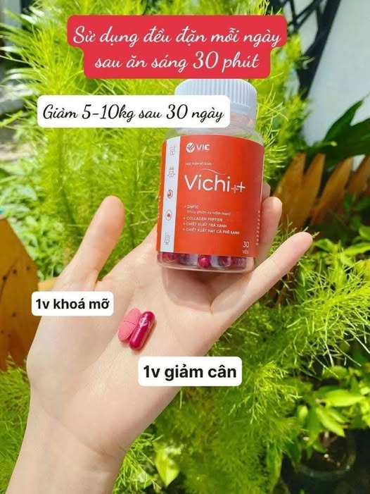 Hỗ trợ giảm cân hiệu quả