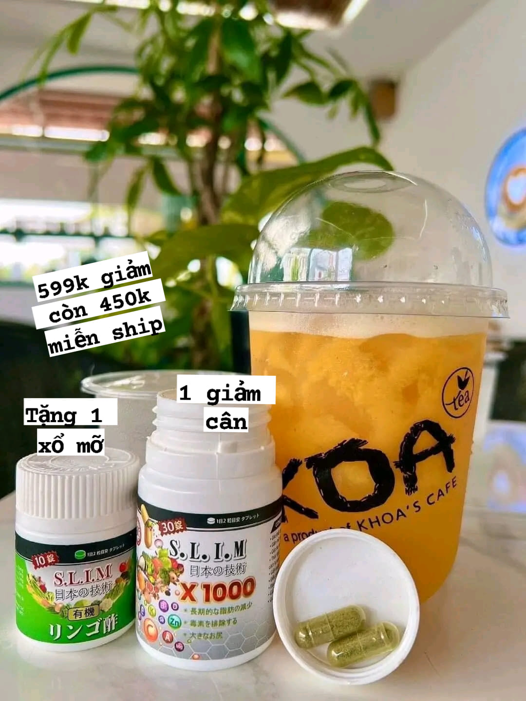 Hướng dẫn sử dụng