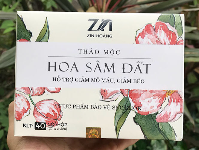 Thảo Mộc Hoa Sâm Đất có tốt không? Có an toàn không