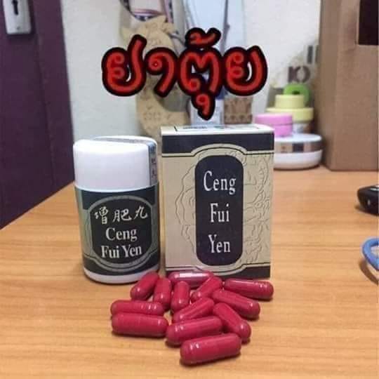 Tăng Cân Ceng Fui Yen – Tăng Phì Hoàn Hộp 30 viên – Chính Hãng