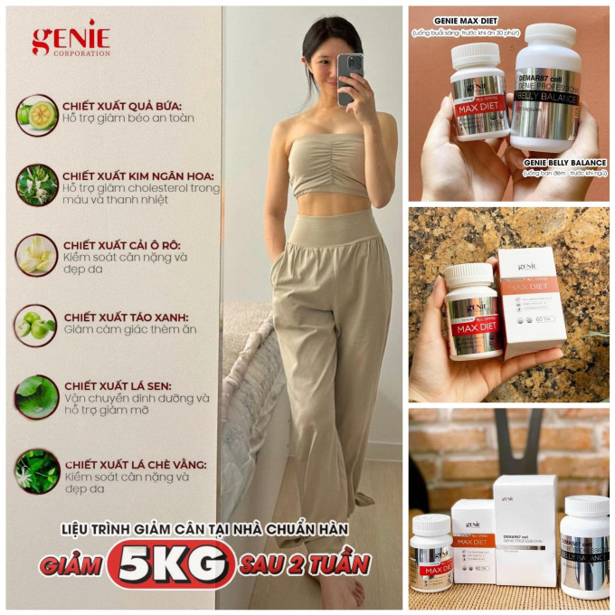 Thành phần chính