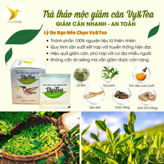Thành phần chính của Vy Tea