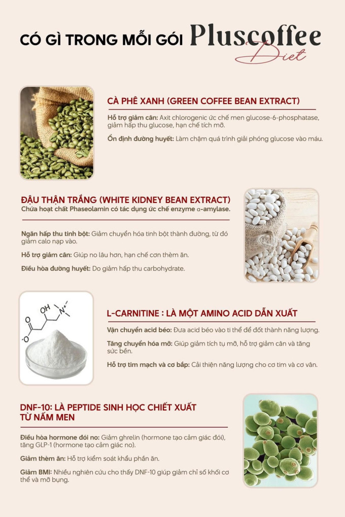 Thành phần chính